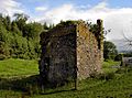 Nether Horsburgh Castle 2