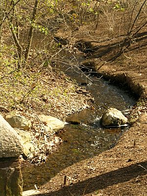 Olmsted-Park-Muddy-River