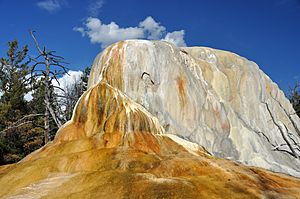 Orange Mound Spring, Yellowstone