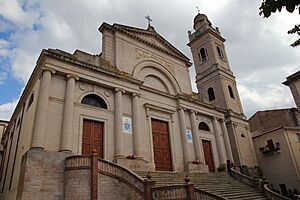 Ozieri - Cattedrale dell'Immacolata (03)