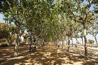 Passeig Manuel Puigvert Calella