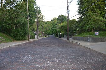 Peterson Avenue Hill, Louisville.jpg