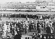 Pharlap1930melbournecup