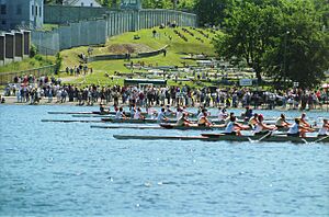 Regatta Start, St. John's, Newfoundland