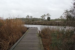 Roanoke Island Festival Park walkway