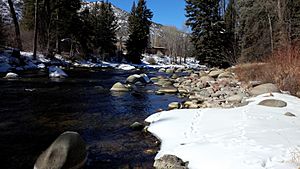 Roaring Fork from backyard