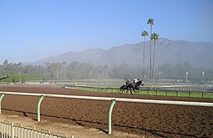 SantaAnitaTrackMtns wb