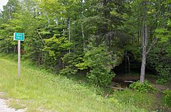 Scott Falls Roadside