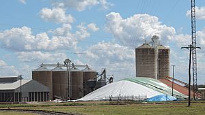 Silos, Capella, 2016