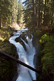 Sol Duc Falls 3