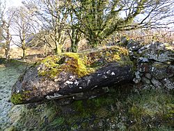 St Fillan's Seat, Kilallan, Houston