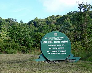 Tobago - August 2013 (1530)