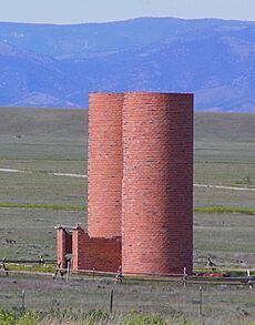 Townsend silos