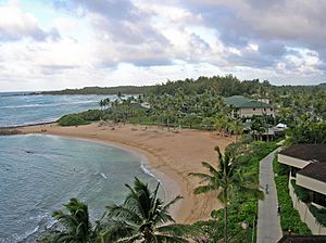 Turtle Bay Resort