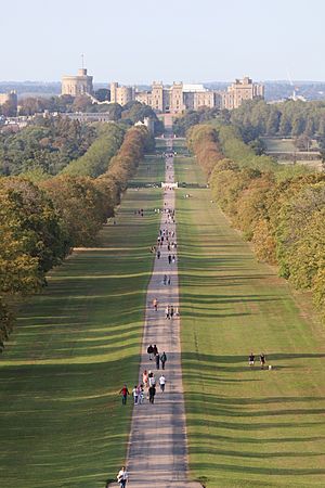 Windsor Great Park.jpg