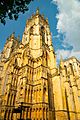 Yorkminster near sunset 8495