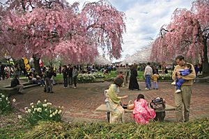 2008-Subaru-Cherry-Blossom-Festival-of-Greater-Philadelphia-1