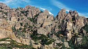 A553, Pinnacles National Park, California, USA, 2004