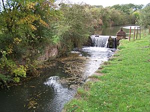 Abandoned Lock on Nutbrook Canal