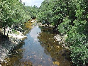 Alapaha River