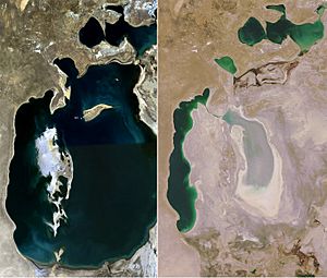 Aral Sea 1989-2008.jpg