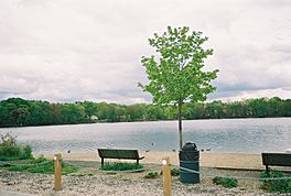 Artists Lake from NY 25.jpg