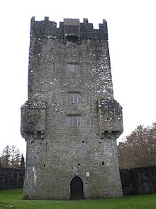 Aughnanure Tower House