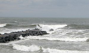 Beryl Jetty Surf