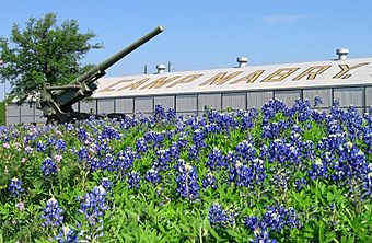 Camp Mabry Bluebonnet Howitzer.jpg