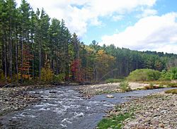 Confluence of east and west branches of Neversink River