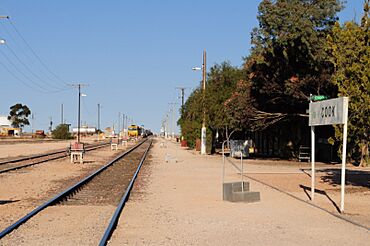 Photo along the ground-level station platform of Cook, with trees and a nameboard on the right and a train in the medium distance in the crossing loop