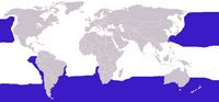 Diomedeidae distribution