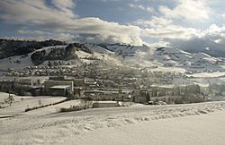 Entlebuch web