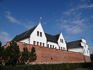 Gosławice Castle - 01