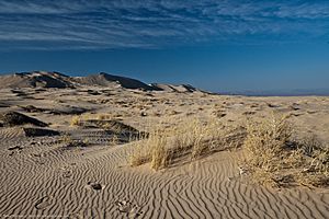 Kelso Dunes, 2012