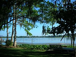 Lake Rousseau.JPG