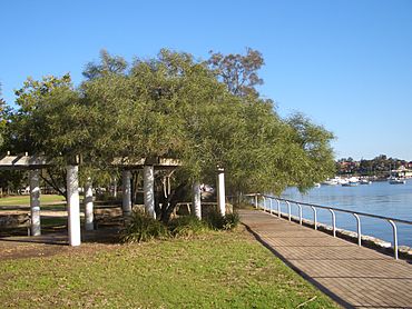 Lilyfield Leichhardt Park.JPG