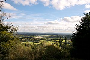 Looking south from Hascombe Hill