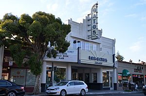 Los Gatos theater