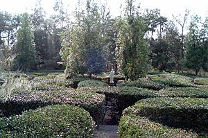 MagnoliaPlantationMaze 500px