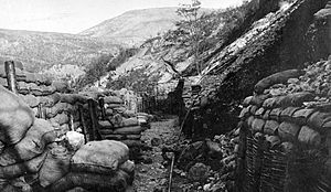 Monte San Gabriele (Skabrijel), lövészárok, háttérben a Monte Santo. Fortepan 52341