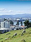 View from Mount Maunganui