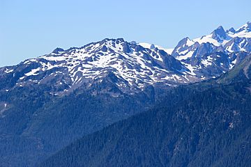 Olympic Hurricane Ridge 17.jpg