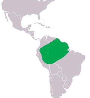 Paleosuchus trigonatus Distribution.png