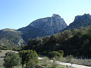 Peñón-de-Zaframagón