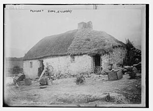 Peasant home - Killarney LCCN2014694752