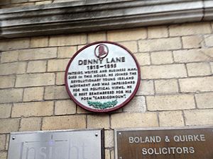 Plaque to Denny Lane (1818-1895) at 72 South Mall Cork (8303583558)