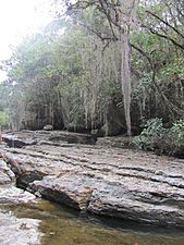 Quebrada de Guatoque