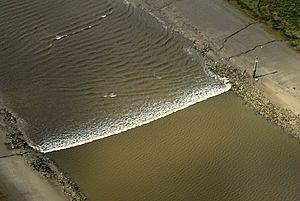 River Ribble bore