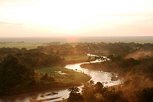 Serengeti - Stefan Swanepoel